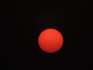 2427029