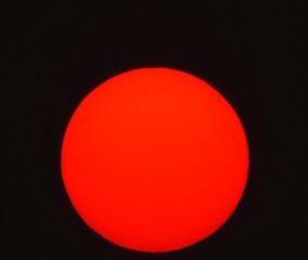 2436529