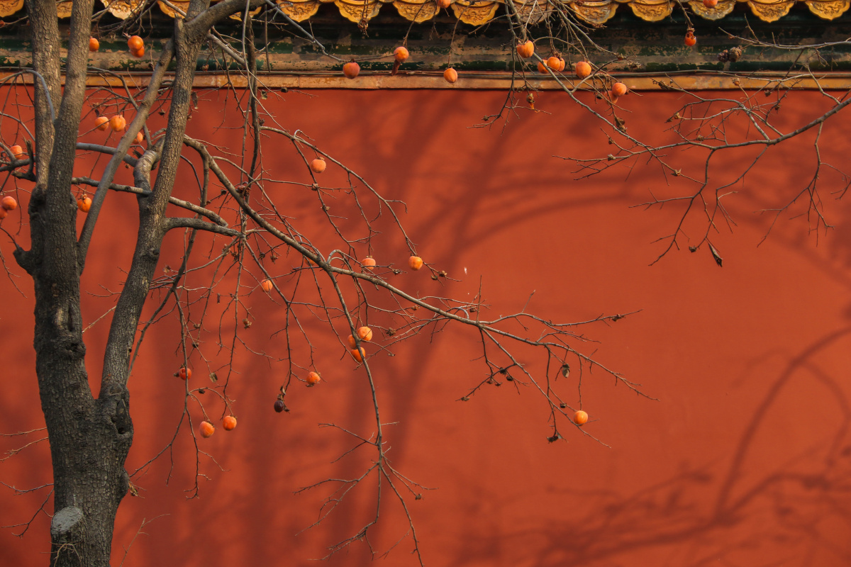 故宫和北京巷子的秋天