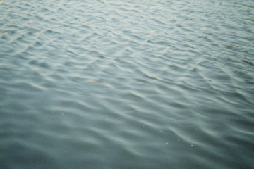 29E74C85-B9E4-48F3-9AC7-C46D183FFD5B/L0/001