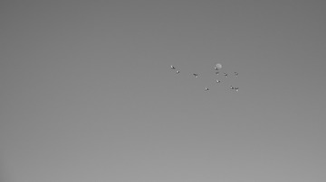 3A455D21-1EFA-429E-960E-AC765F0E4073/L0/001