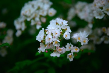 69C122E7-B5B4-404C-B5F4-D25A1EDAE76D/L0/001