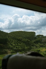 8761D80F-0D28-4370-9CE4-7FEF34BC7F47/L0/001