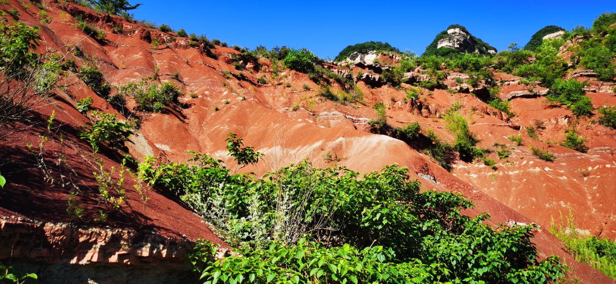 山西阳城圣王坪的红沙岭像一条红色腰带系在山腰