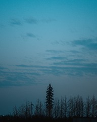 869083