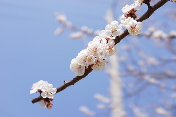 DD888C0C-6E7C-484A-BD77-4F51B5924F2F/L0/001