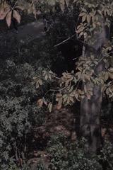 8F6A5A6F-2816-425E-A6AA-D1C8FA8199F0/L0/001