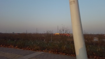 46302