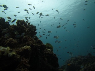 DA5A44EC-E04A-45D8-8892-6D384F4E407D/L0/001