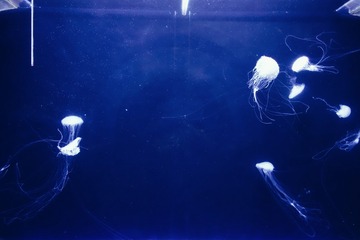 0745F53F-7805-4200-A4D3-8FD5F5112737/L0/001