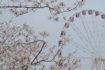 9B940399-323A-485E-81E7-CAC37E22916E/L0/001