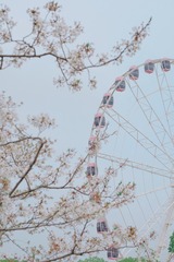 52AD0751-42F7-4EDA-953C-21FE4035D9C7/L0/001