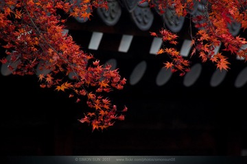 红叶残秋