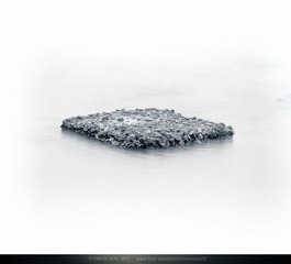 景物之一