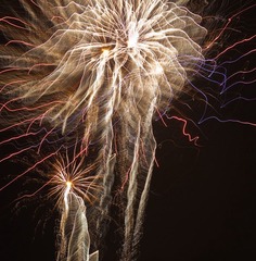 IMG_4182.jpg