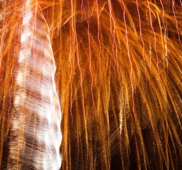 IMG_4193.jpg
