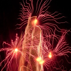 IMG_4236.jpg