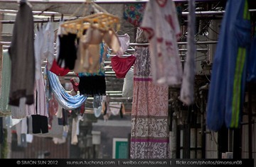 IMG_7537.jpg