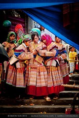 IMG_2862.jpg