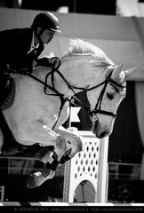 IMG_8865.jpg
