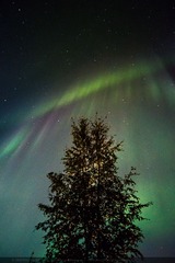 m_642354201eb8000001498491e036