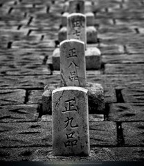 权利的墓碑