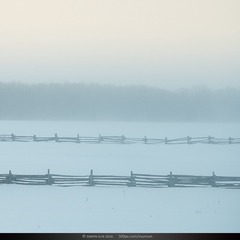 _DSC9031