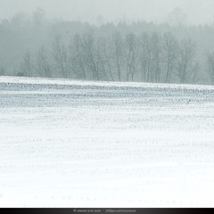 _DSC9047