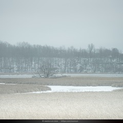 _DSC9065