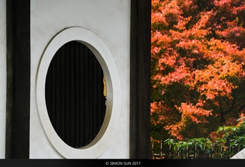 京都红叶-01617
