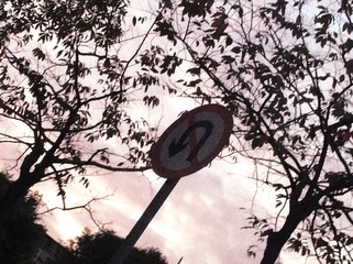 2F534DF8-CD75-4E36-9ABF-2B9E2FDBEA3C/L0/001