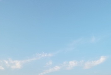 323067