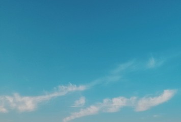 323068