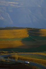 607394