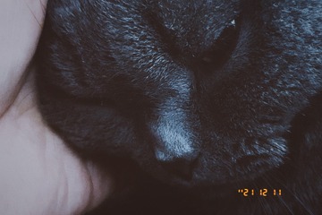 3B01E180-33B1-473E-BFFB-102A95CAF873/L0/001