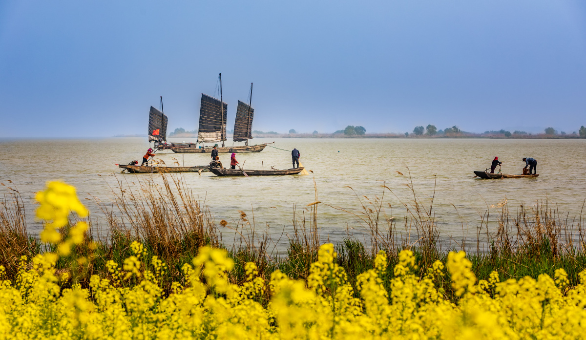 好事成双在高邮