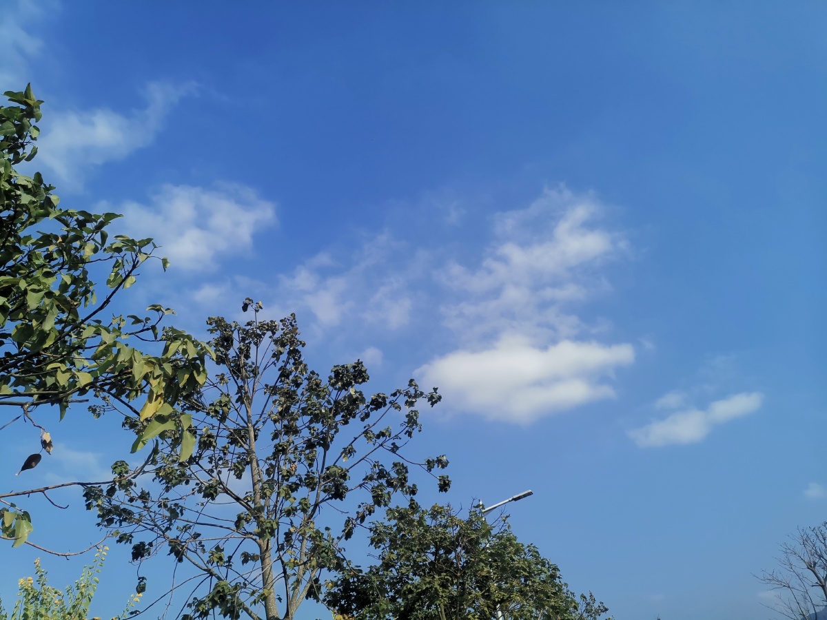 晴朗的天空,晴朗的心情 - 冬天里的小甲虫 - 图虫