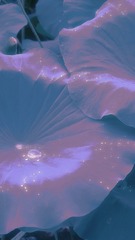 35AE0368-5260-45E5-BBBC-31943A648928/L0/001