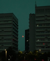 754587