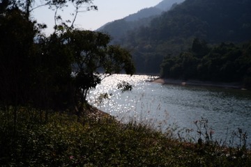 116F8AC5-1F49-464D-9BC1-D2C594BDA156/L0/001