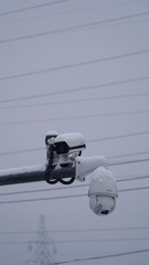 5424DDDD-1396-4DB3-8DEC-B69E7AD9E047/L0/001