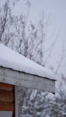 DEC5D475-B163-47EA-9F3B-D992998AA9D2/L0/001
