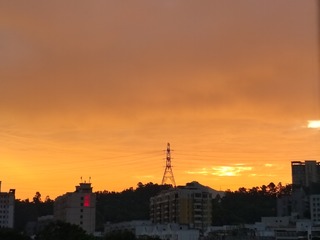 1000003279