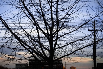 C971E2C5-36D6-49FB-9220-97CDBECB78C2/L0/001