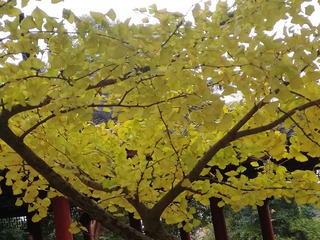 120216
