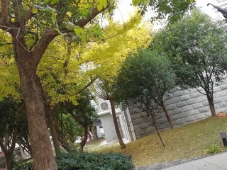 120217