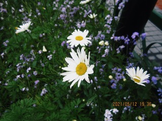 E759AA97-F770-403B-ADA0-721A8A604AD9/L0/001
