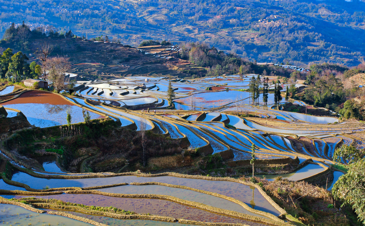 五彩梯田——云南元阳.