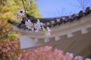 2A066D6F-C19B-4B2D-9F2C-B82AA2D7EF9B/L0/001