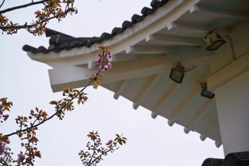 F9D36077-D4FA-44F2-A3E9-6186B33F5EE3/L0/001
